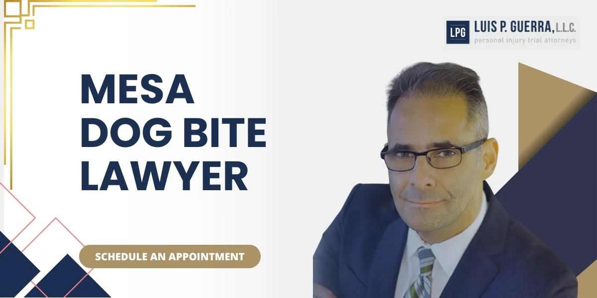 Skilled Mesa Dog Bite Lawyer Skilled Mesa Dog Bite Lawyer